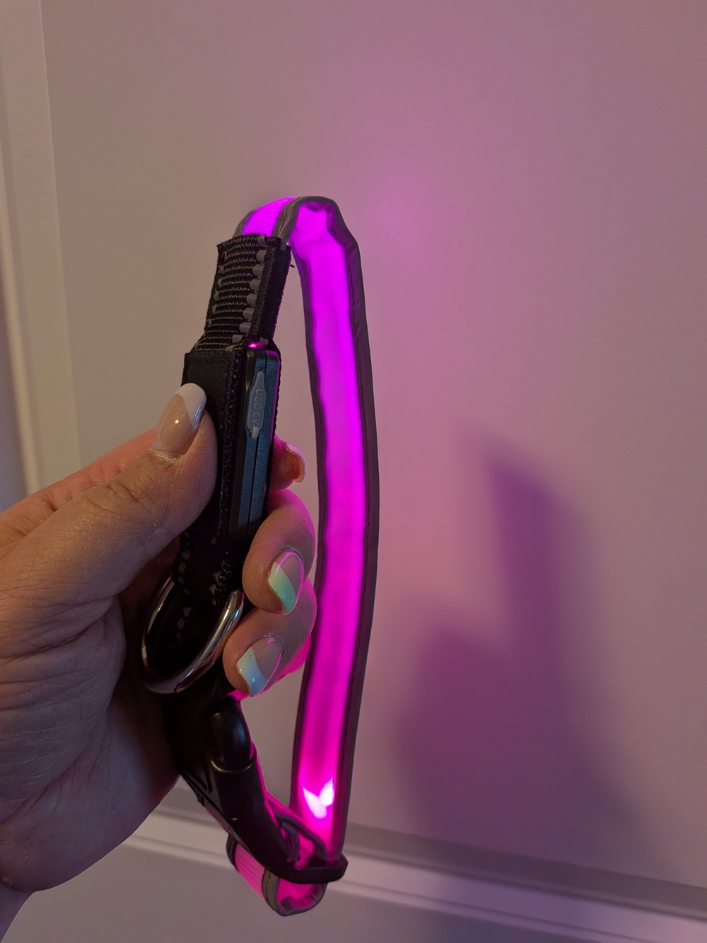 LED Dog Collar - Multi Color